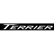 Terrier